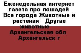 Еженедельная интернет - газета про лошадей - Все города Животные и растения » Другие животные   . Архангельская обл.,Архангельск г.